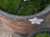pot-presepe more…