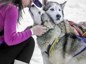 NEWS. DOLOMITI.IT: slitta slittino, trend sulla neve. Idee originali divertirsi slittando Plan Corones, Fassa, Sole sulle Dolomiti Brenta.