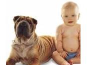 Bambini allergie, miglior difesa immunitaria? cane casa