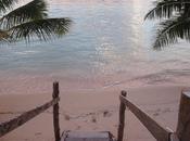 cuori fale: alle Samoa alla maniera samoani