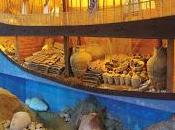 Relitti navali...utili agli archeologi