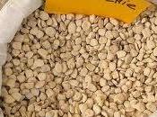 Cicerchie, cosa sono?