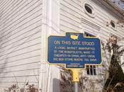 Buon anno Woodstock!