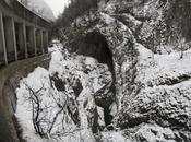 Aggiornamento immersione Lupo Inferiore