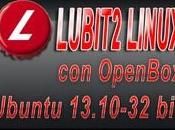 Lubit2 Linux Ubuntu 13.10 OpenBox