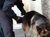 Hashish cocaina Vittoria Scoglitti Arrestate persone