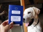 vacanza cane: passaport