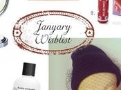 January Wishlist