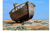 Nuove Uscite "Requiem vivo" prima puntata Bottino Lima" Stefano Nicoletti