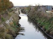 barzelletta veleno sempre inquinato Ciappetta-Camaggio