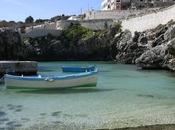 Castro prepara ormeggi