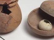 Gusci uova scongiuri