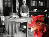 Pellegrino Artusi, paste pastelle