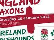 rugby degli altri: Wolfhounds corsari Gloucester, Saxons cedono 8-14