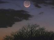 Gobba ponente, luna crescente