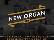 rapporto fine anno della Methuselah Foundation