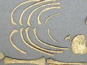 Infanticidio selettivo presso Romani