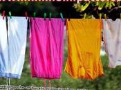 bucato ecosostenibile? detersivo scegli?