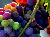 L’uva: panacea tutti mali?