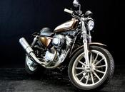 Harley 883L 2007 Special