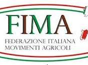 Fima: Collegato. Risposte insufficienti