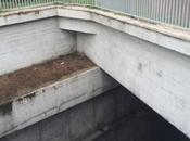 murales Wiliam Kentridge starebbero meglio periferia? cosa triste Lungotevere all'altezza Ponte Margherita Nenni periferia pieno titolo