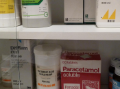 farmaci ingredienti animali. Informazioni migliori vegetariani?