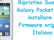 Ripristino Samsung Galaxy Pocket Neo: installare Firmware originale Italiano