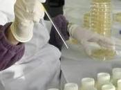 Presunto caso mucca pazza Caltanissetta