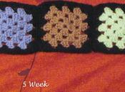 Mood blanket week