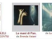 Foto della settimana