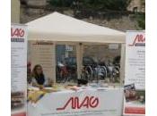 Finanza etica italia, nascita sviluppo delle banche etiche (Seconda parte quattro)