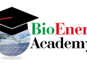 Competenze opportunità professionali settore delle rinnovabili: esperienze confronto tavola rotonda BioEnergy Italy 2014
