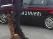 Ragusa, droga minorenni Scoglitti Santa Croce Camerina arresti