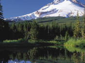 Nature: magma diventa spia prevedere eruzioni vulcaniche?