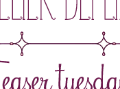 Teaser Tuesday