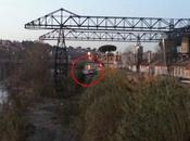 Sversano impunemente rifiuti Tevere all'altezza Ponte Ferro. Carabinieri Polizia Municipale sono contattabili