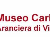 Mafai-Kounellis libertà pittore