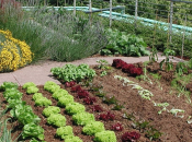 Siglato accordo mondiale aiutare piccoli agricoltori