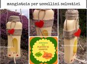 Riciclo flacone shampoo, quinta puntata: mangiatoia uccellini selvatici