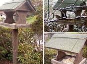 Casetta legno uccellini selvatici riepilogo "settimana flacone shampoo"