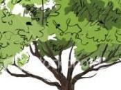 Eco-conclave