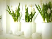 Floral design elegance interiors