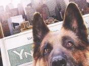 Cool (dvd)