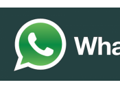 Primo down WhatsApp dell’era Facebook