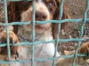 errore burocratico minaccia vita