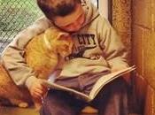 Leggere gatti?