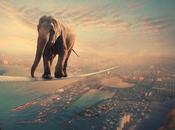 Ionut, cantastorie photoshop