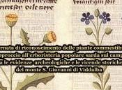 Viddalba: domenica marzo Flora Storia