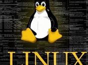 Come installare l’ultima versione kernel Linux Ubuntu 13.10 “Saucy Salamander”.
